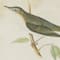 Black Wood Farmhouse Cottage Birds Wall Art Set